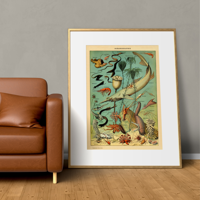 OCEANOGRAPHY (Oceanographie) Circa 1897 - Image 2