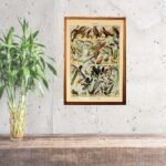 BIRDS (Oiseaux) Circa 1897 - Image 2