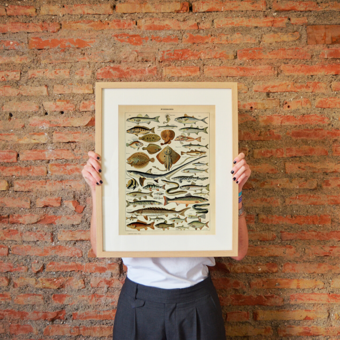 FISHES (Poissons) Circa 1897 - Image 2