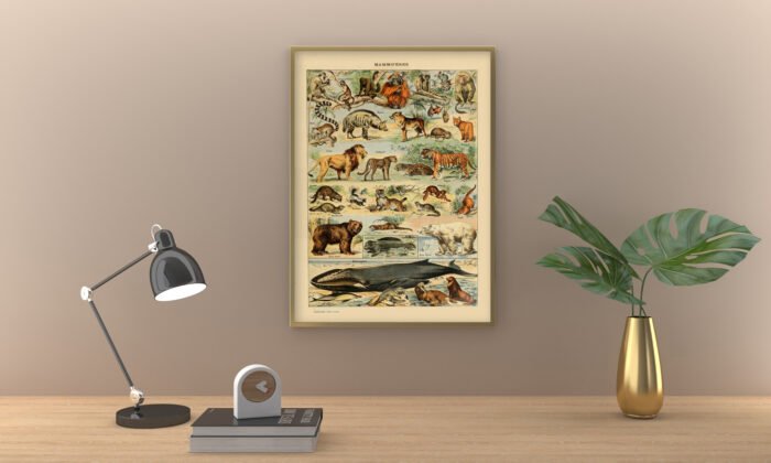 ANIMALS (Mamiferes) Circa 1897 - Image 2